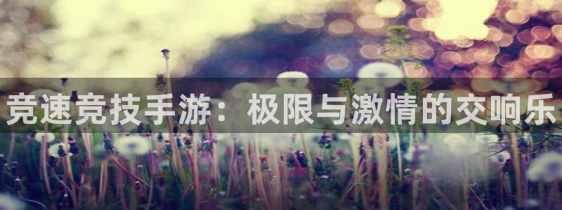 3377体育官网下载官方客服电话：竞速竞技手游：极限