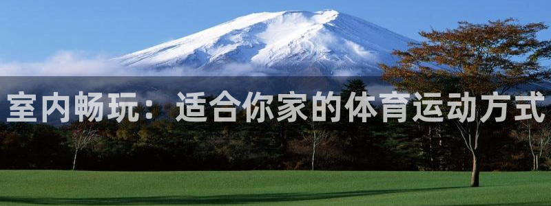 3377体育官网下载注册：室内畅玩：适合你家的体育运