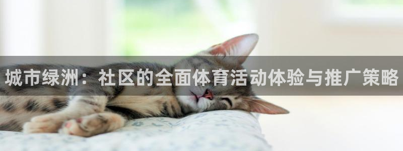3377体育官方正版app集团官网首页：城市绿洲：社