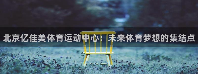 德国3377体育官方正版app集团：北京亿佳美体育运动中心：