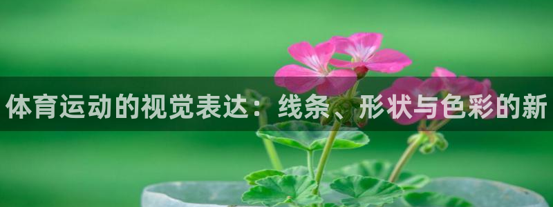 海南3377体育官网下载：体育运动的视觉表达：线条、形状与色