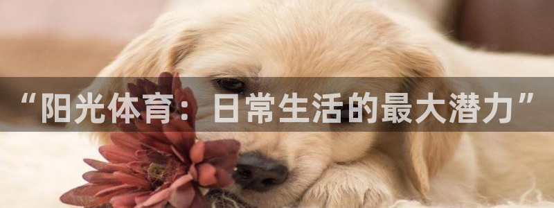 3377体育官网下载注册：“阳光体育：日常生活的最大潜力”