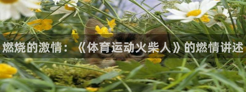 3377体育官网下载平台是正规平台吗安全吗：燃烧的激