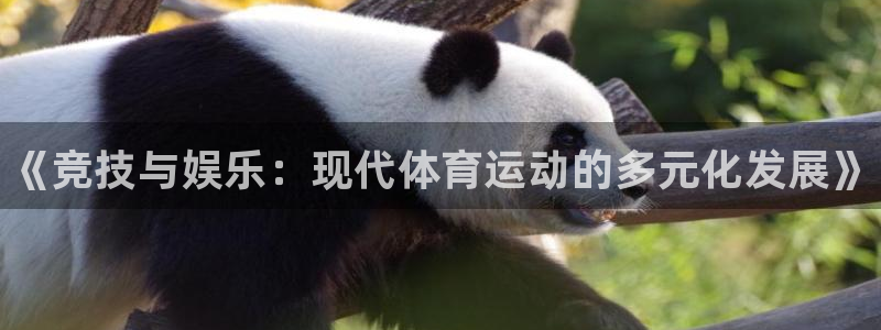 3377体育官网下载招商电话：《竞技与娱乐：现代体育
