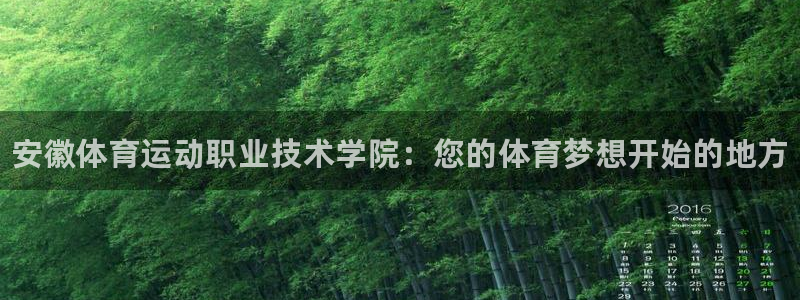 3377体育官网下载娱乐：安徽体育运动职业技术学院：您的体育