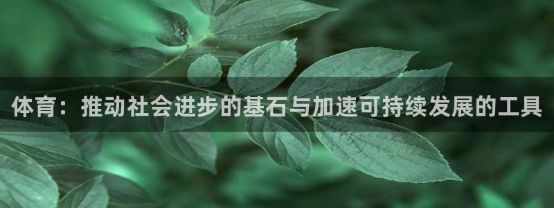 3377体育官方正版app开户：体育：推动社会进步的