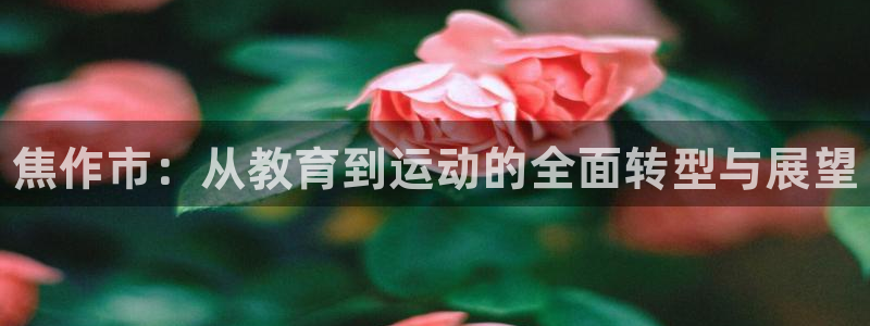 海南3377体育官网下载：焦作市：从教育到运动的全面