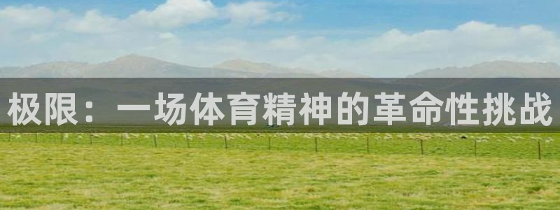 3377体育官网下载平台注册流程视频：极限：一场体育精神的革