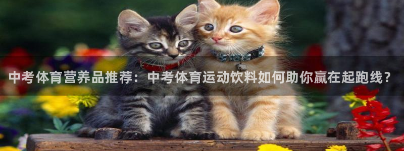 3377体育官网下载平台是正规平台吗安全吗：中考体育营养品推