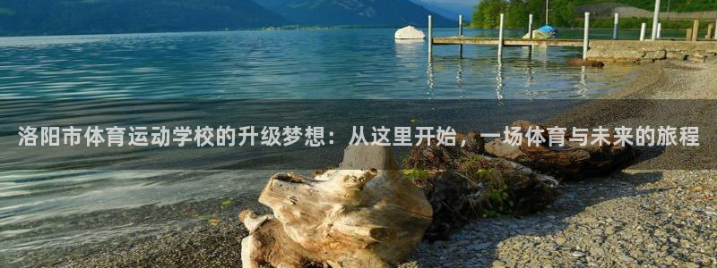 3377体育官网下载招商电话是多少啊