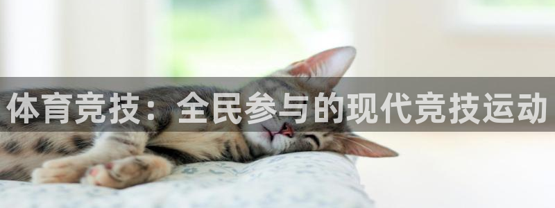 3377体育官网下载平台是正规平台吗安全吗：体育竞技