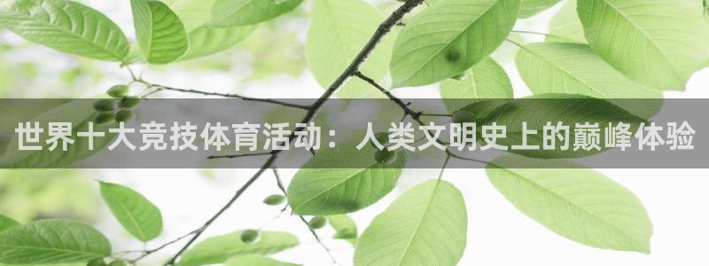 3377体育官网下载平台注册流程视频：世界十大竞技体