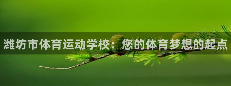 3377体育官网下载开户：潍坊市体育运动学校：您的体