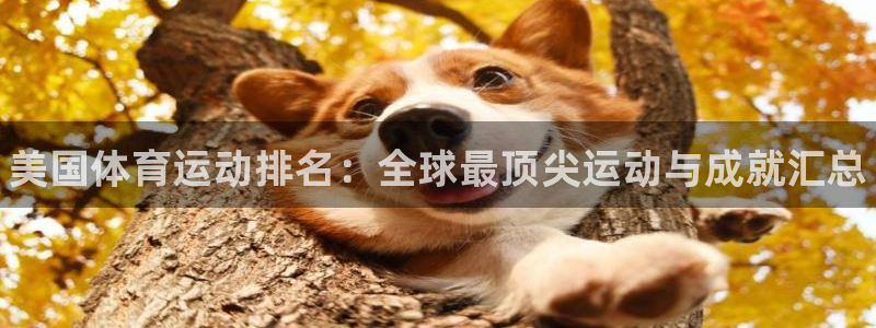 3377体育官网下载官方客服电话