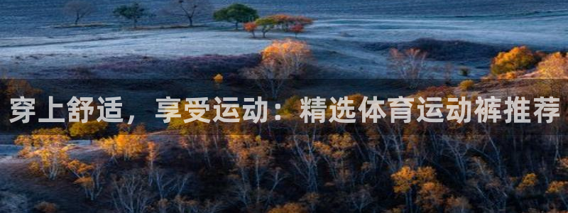 3377体育官方正版app集团官网首页：穿上舒适，享