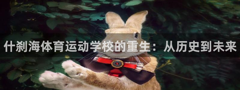 3377体育在线官网