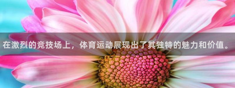 3377体育属于国家打击范围吗