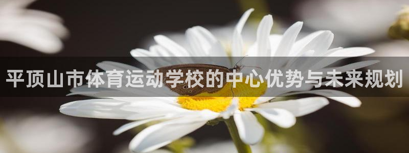 3377体育手机平台：平顶山市体育运
