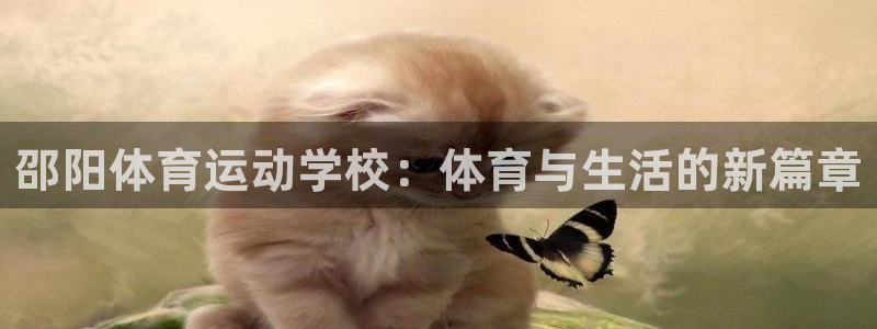 3377体育app倒闭了吗知乎
