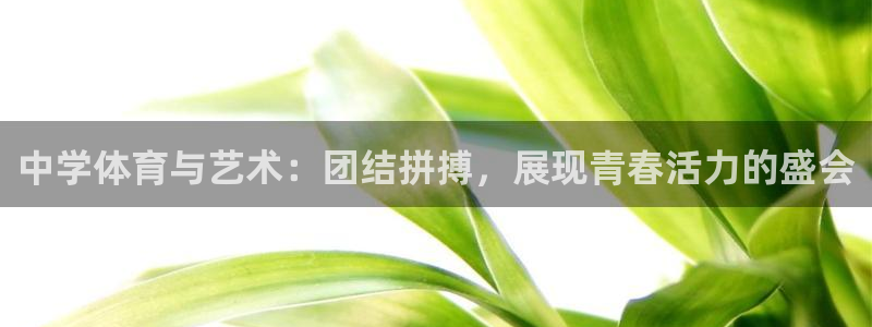 3377体育属于国家打击范围吗