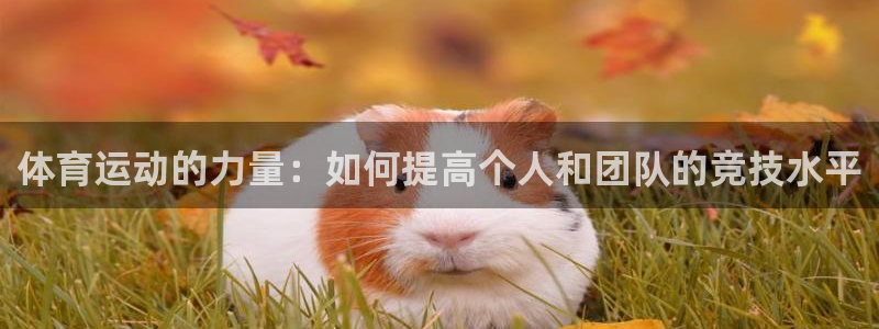 3377体育被国家取消了吗为什么：体