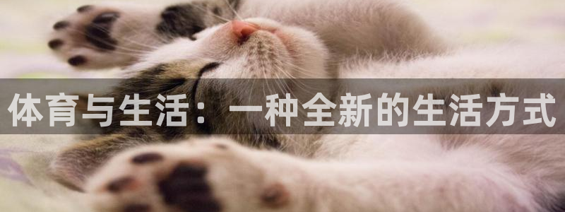 3377体育提款失败的原因分析