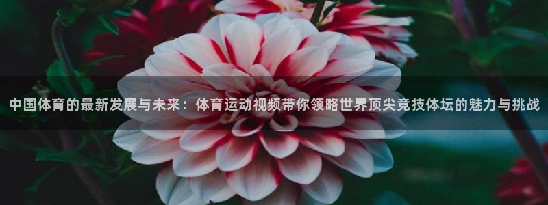  3377体育在线官网：中国体育的最新发展与未来：体育运动视频