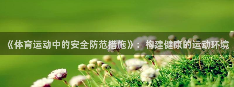 3377体育犯法吗：《体育运动中的安全防范措施》：构建健康的