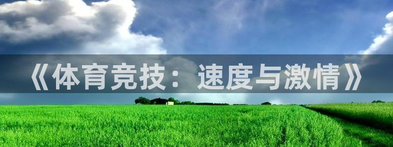 3377体育是正规平台吗：《体育竞技：速度与激情》