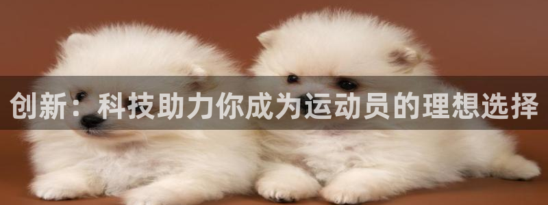  3377体育被国家取消了吗现在：创新：科技助力你成为运动员的