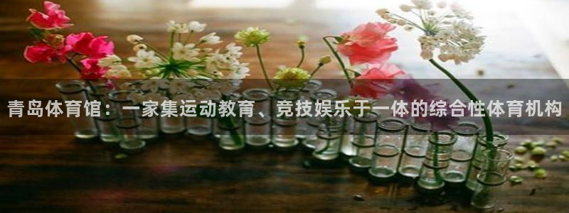 3377体育官网下载：青岛体育馆：一