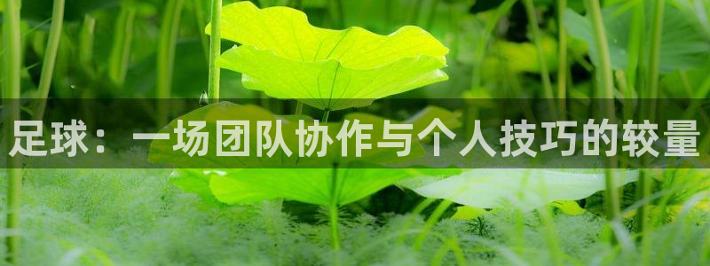 3377体育中国官方网站入口：足球：一场团队协作与个人技巧的