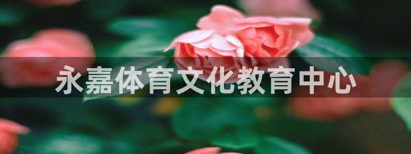 3377体育合法吗
