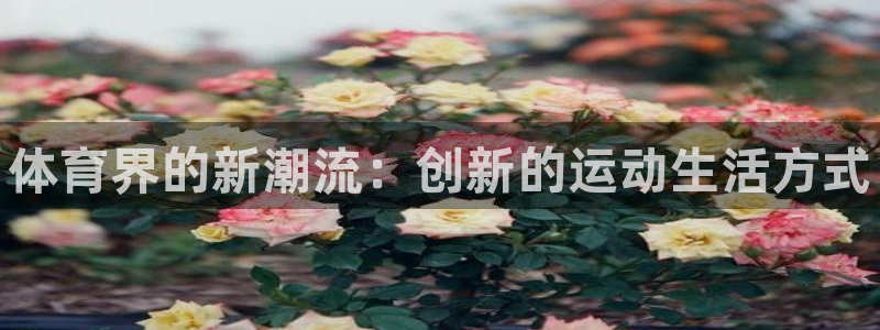 3377体育官方正版app娱乐网站