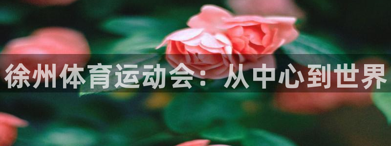 3377体育官网下载招商电话号码是多少