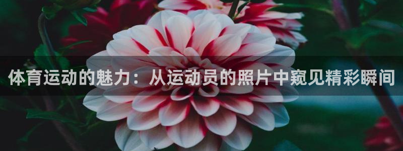 3377体育官网下载联系电话
