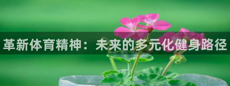 3377体育官方集团官网：革新体育精神：未来的多元化健身路径