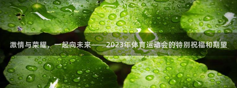 德国3377体育官方正版app集团：激情与荣耀，一起向未来—