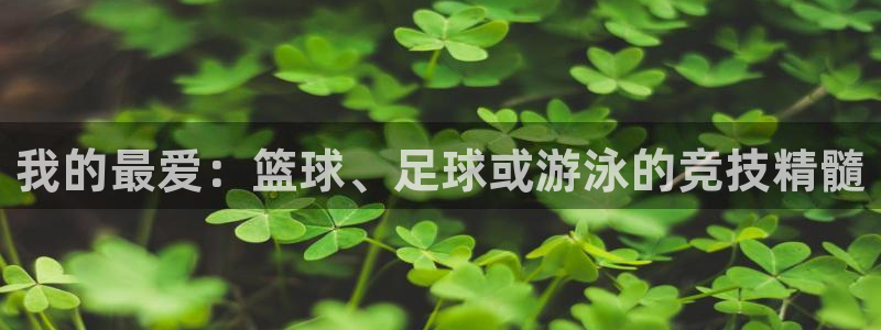 3377体育官方正版app五金厂：我的最爱：篮球、足球或游泳