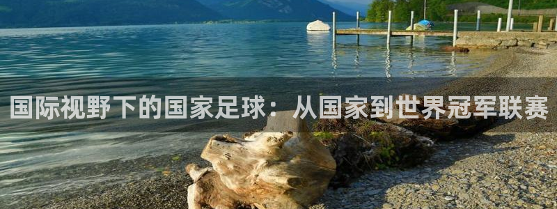 3377体育官网下载招商电话是多少号码：国际视野下的国家足球