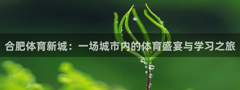 3377体育官网下载招商电话号码是多少号：合肥体育新城：一场