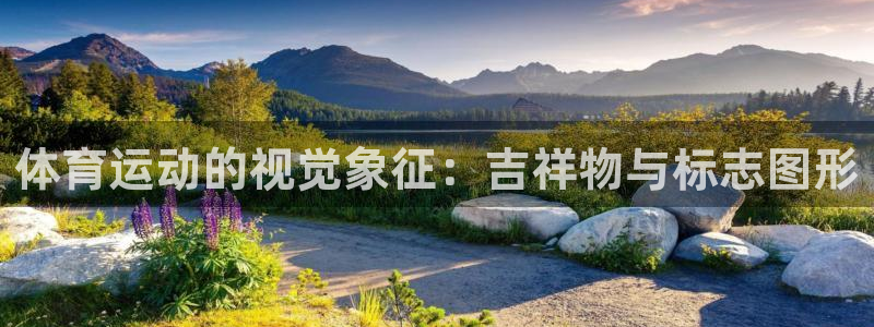 3377体育官网下载招商电话地址是多少:体育运动的视觉象征: