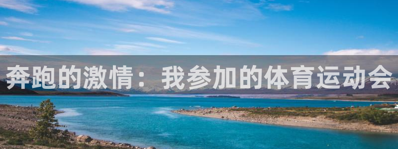 3377体育官网下载招商电话是多少:奔跑的激情:我参加的体育