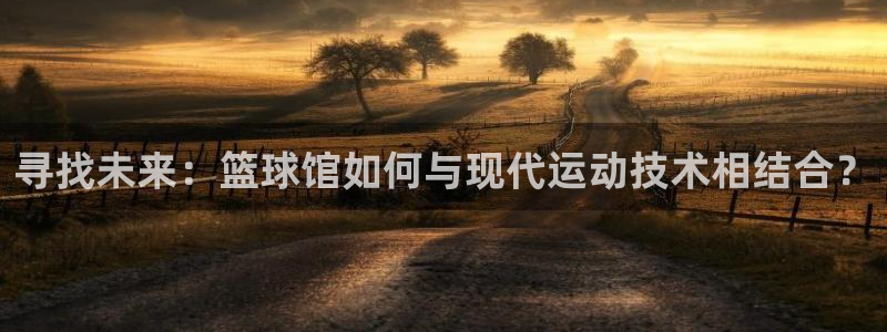 3377体育官方正版app官网:寻找未来:篮球馆如何与现代运