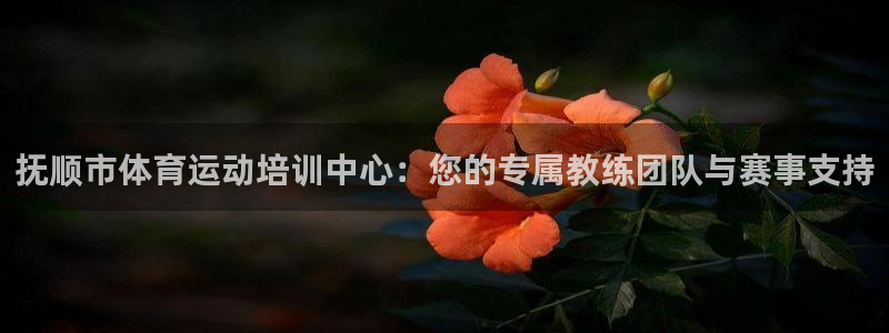 3377体育官方正版app科技