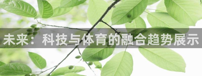 3377体育官方正版app娱乐平台：未来：科技与体育的融合趋